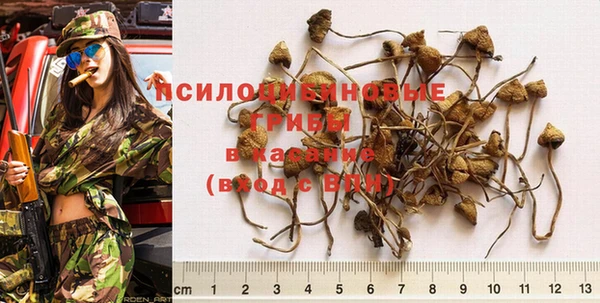 спайс Алексин