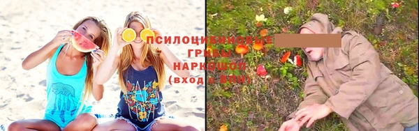 спайс Алексин