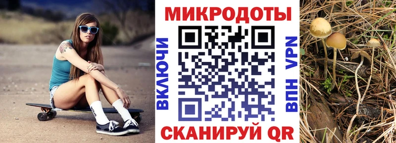 Купить закладки  Юрьевец  Галлюциногенные грибы Psilocybine cubensis 